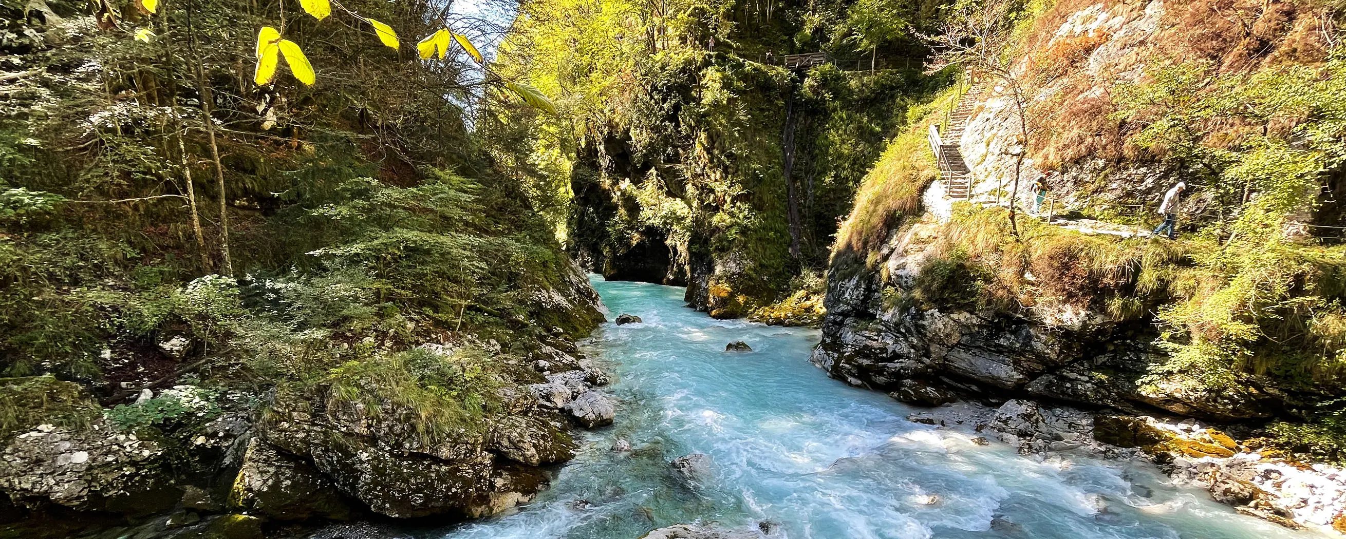 Wie investiere ich bei klimja?
